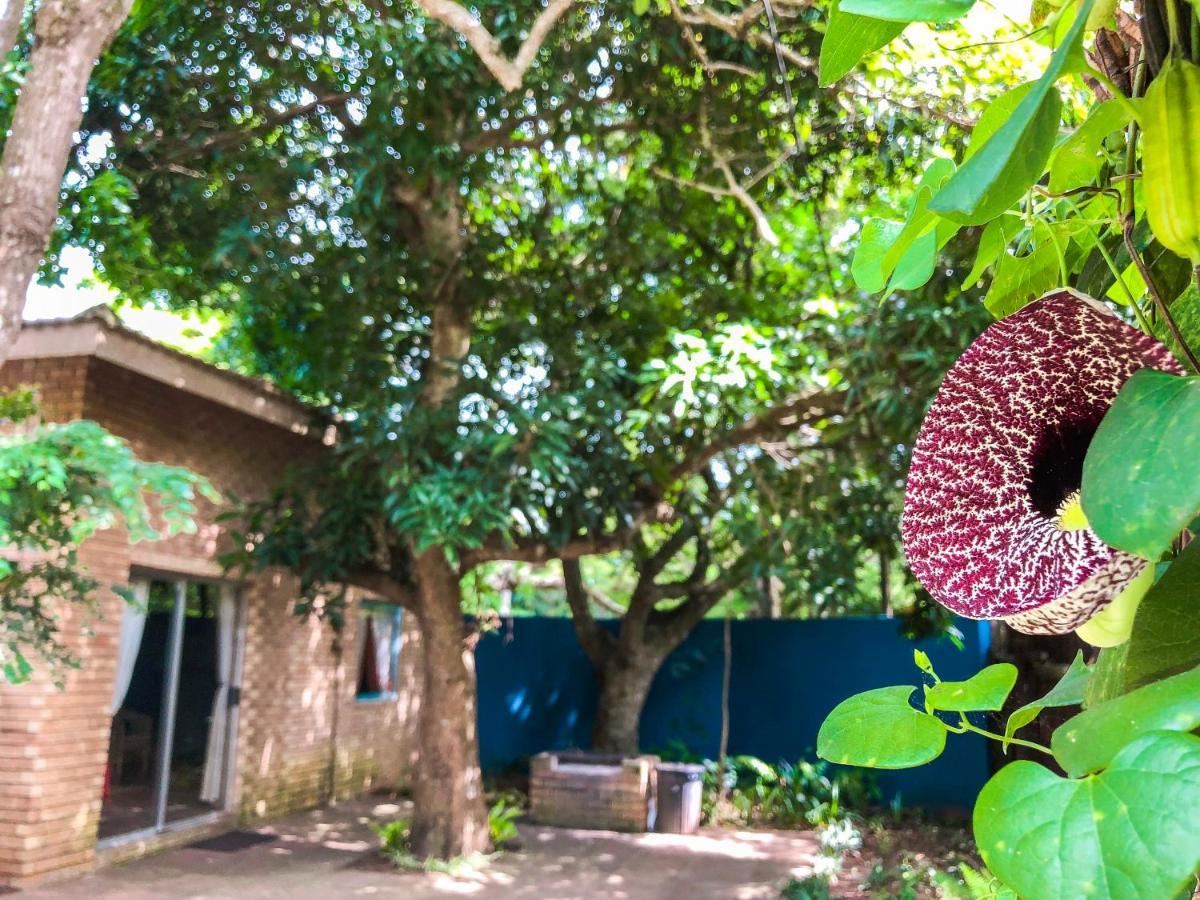 Ingwenya Lodge St Lucia Exterior photo